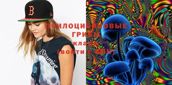 2c-b Белокуриха