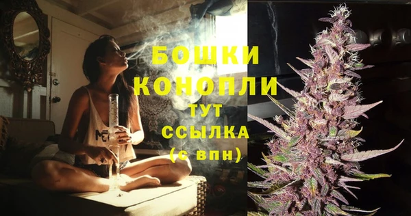 spice Балахна