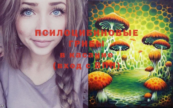 хмурый Балабаново