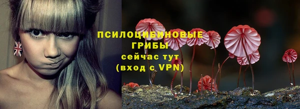 хмурый Балабаново
